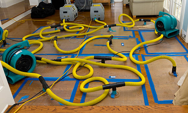 Professional Basement Flood Cleanup technician working in Middleport, PA